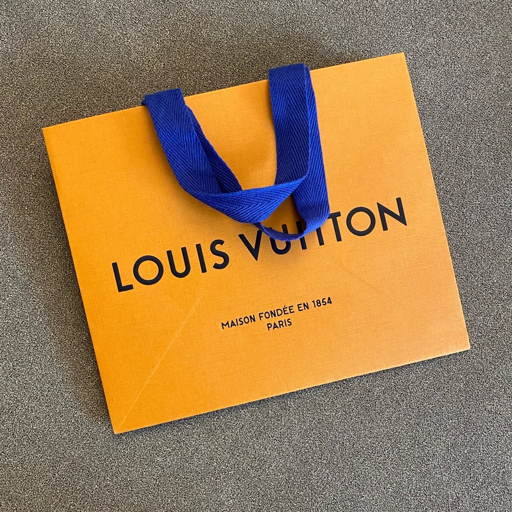 Louis Vuitton Paper Bag (Small)